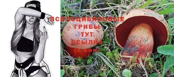 PSILOCYBIN Беломорск